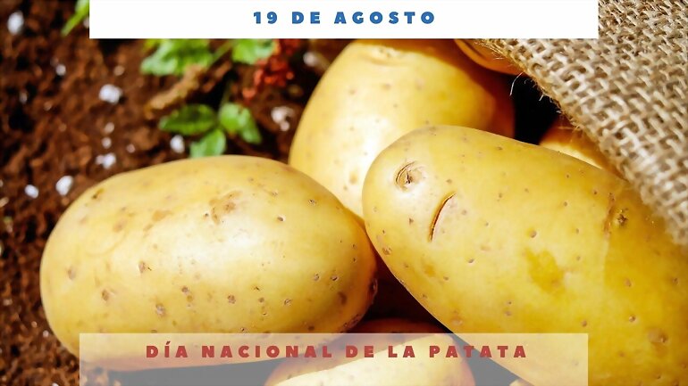 TAL DIA COMO HOY...  DIA NACIONAL DE LAS PATATAS 1