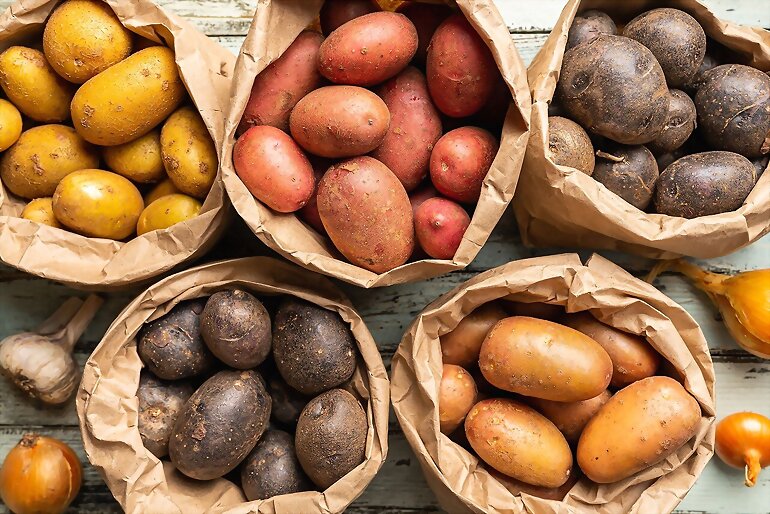TAL DIA COMO HOY...  DIA NACIONAL DE LAS PATATAS 4