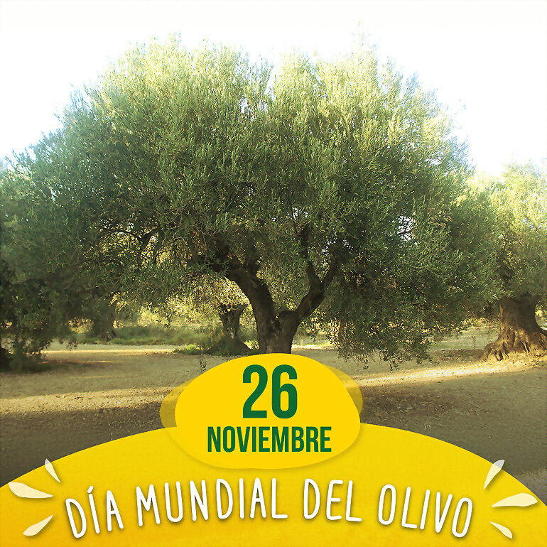 TAL DIA COMO HOY...  DIA DEL OLIVO 1º PARTE