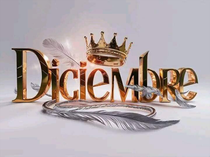 ADIOS DICIEMBRE Y ADIOS AÑO 2024