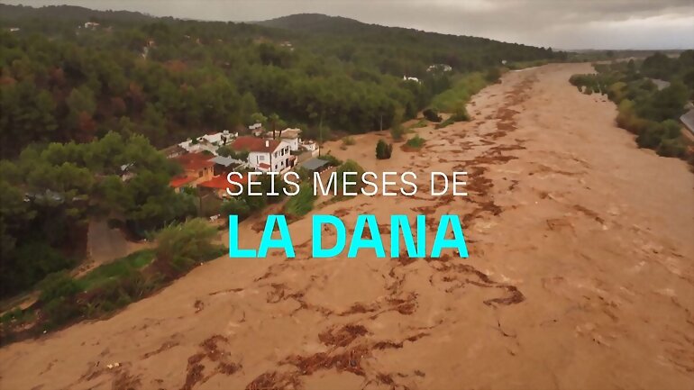 6 MESES DE LA DANA