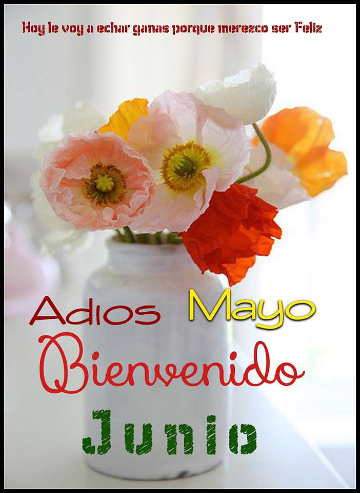 ADIOS MAYO ADIOS!