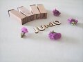 JUNIO