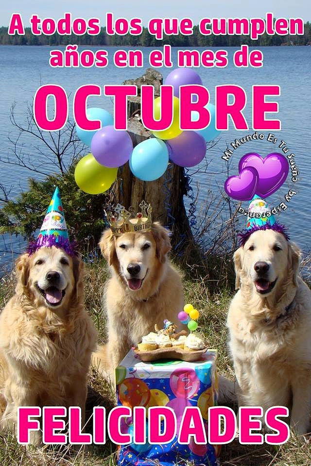 Quien cumple años mañana??