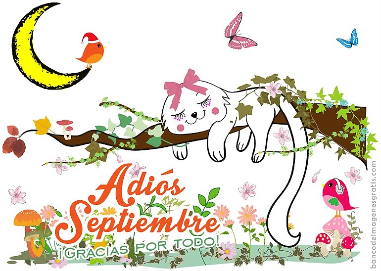 ADIOS SEPTIEMBRE