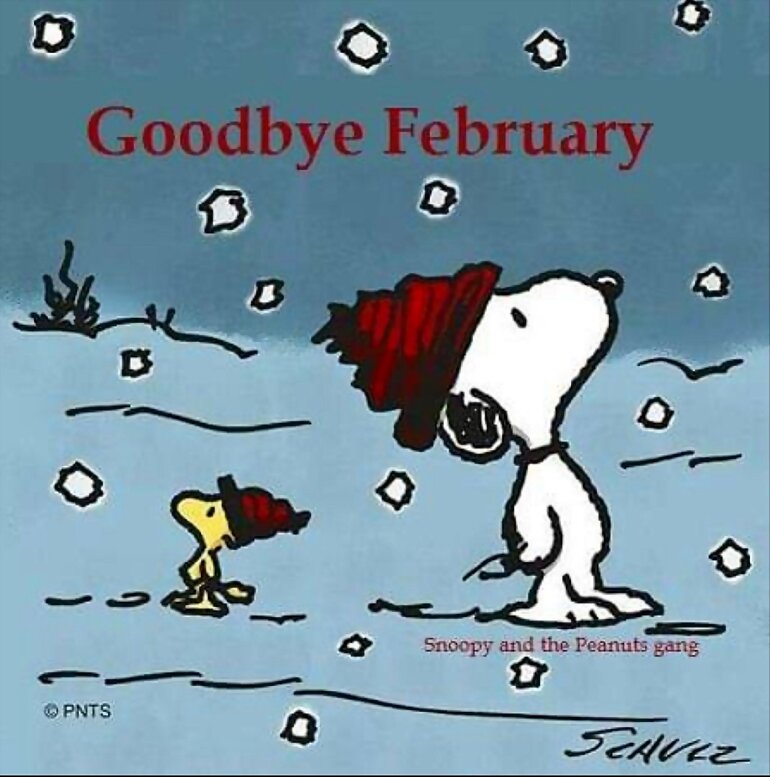 ADIOS FEBRERO BISIESTO