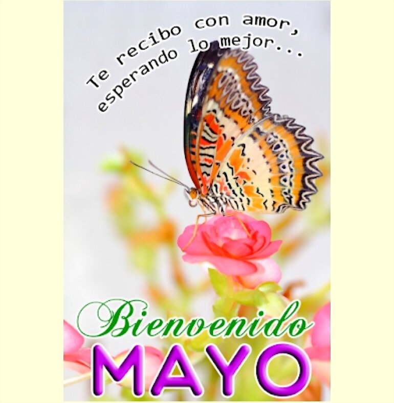 REFRANES DEL MES DE MAYO 2020