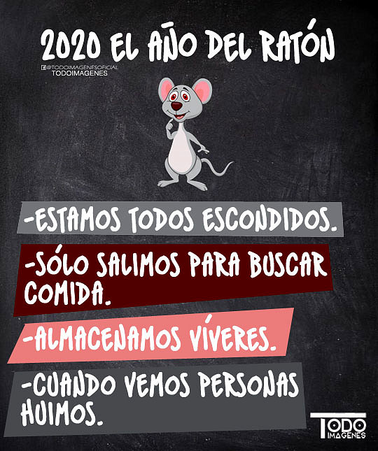 2020 EL AÑO DEL RATON