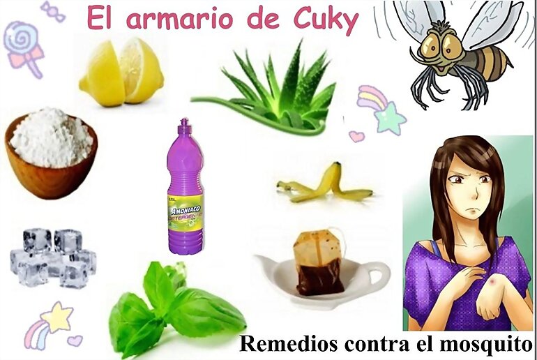 REMEDIOS CASEROS ANTI- MOSQUITOS
