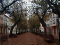 LLEGA EL OTO&Ntilde;O!!