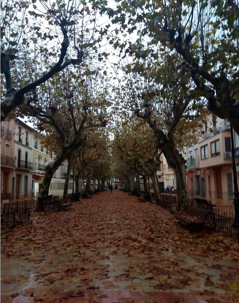 LLEGA EL OTOÑO!!