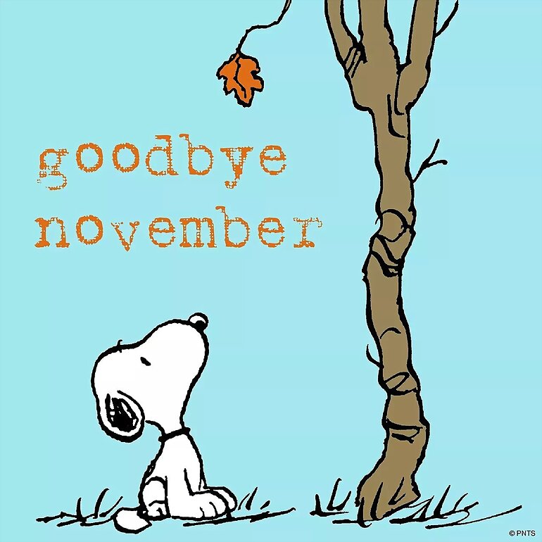 ADIOS NOVIEMBRE 2020