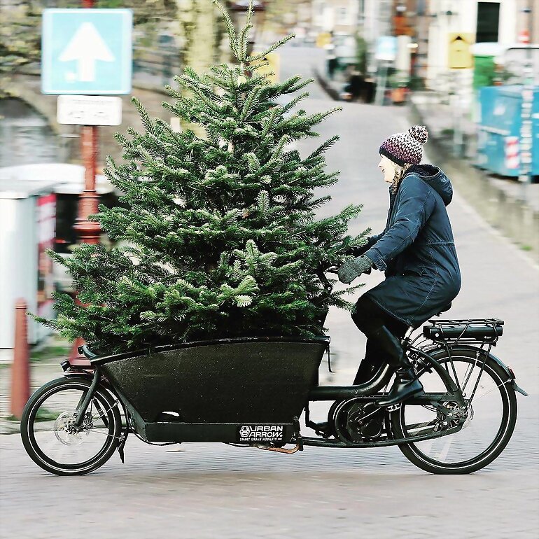 ESPECIAL NAVIDAD: ADORNOS QUE SIGUEN EN EL ARBOL