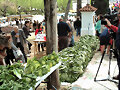 Fiesta de la lechuga