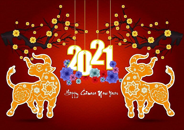 12 FEBRERO:  FELIZ AÑO NUEVO CHINO