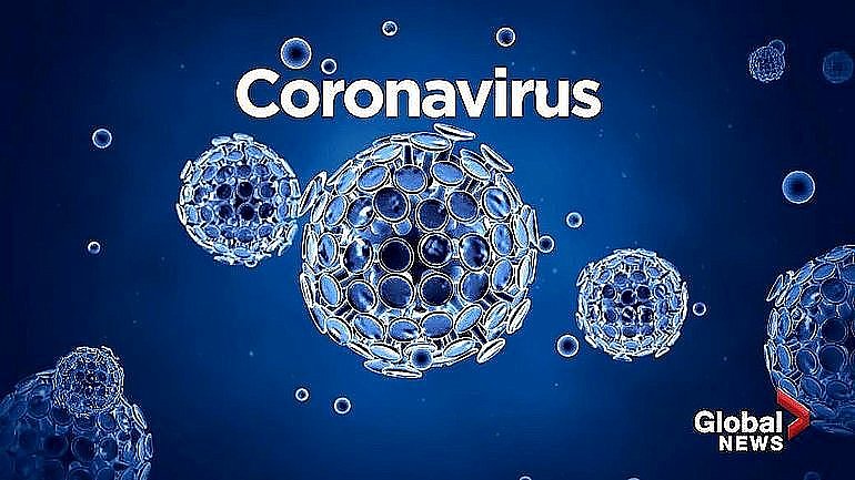 CORONAVIRUS NOVIEMBRE 2021