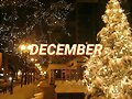 DICIEMBRE 2021