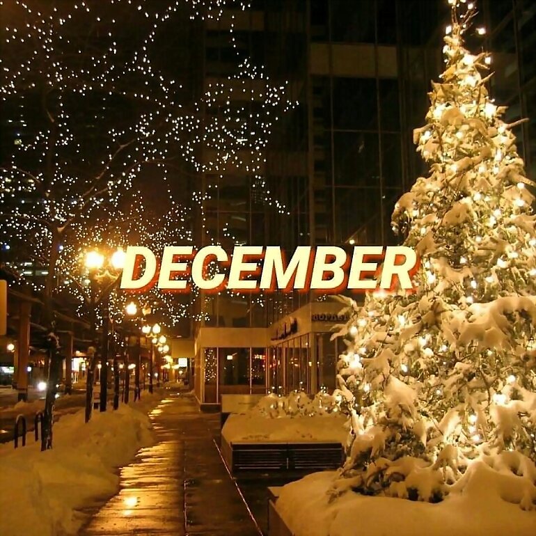 DICIEMBRE 2021