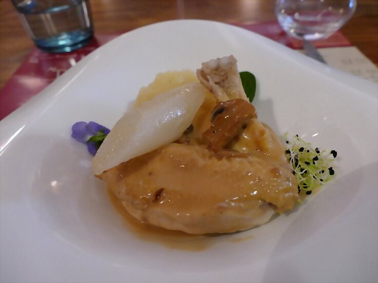 Pollo