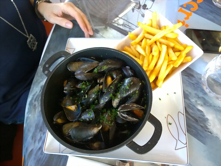 Toulouse V