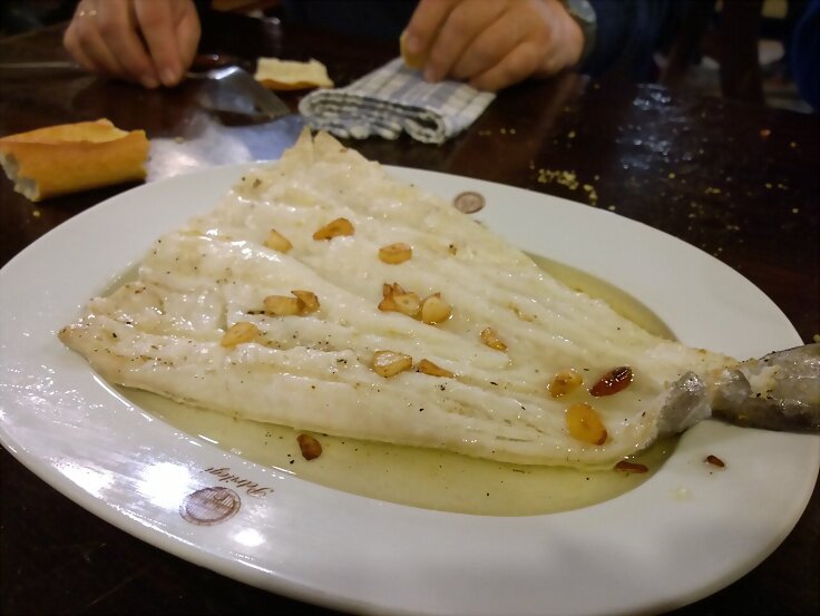 Merluza