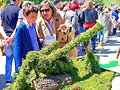Maios 2016, I. Con las debidas explicaciones
