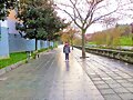 Nunca caminar&aacute;s solo
