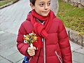 Flores