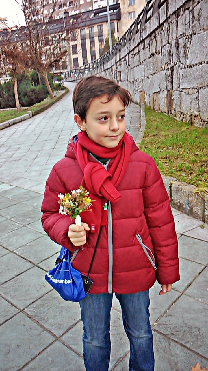 Flores