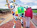Historia del Rock, CCXXXVII: La vaca